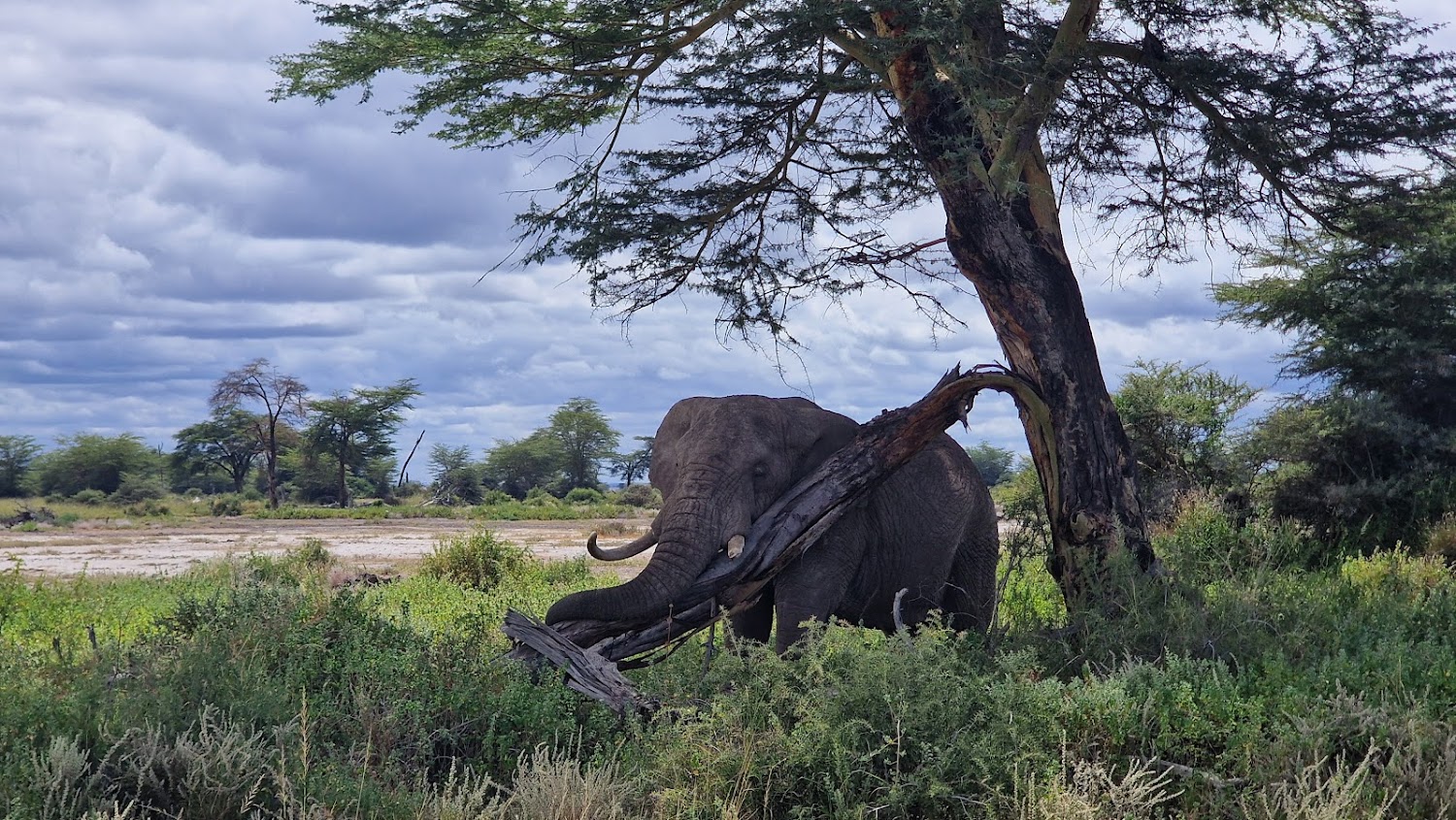 Enduimet Wildlife Management Area 4