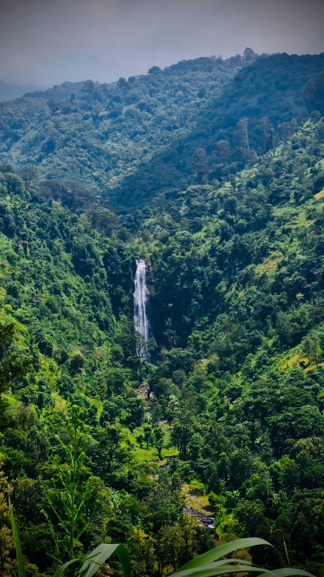 Materuni Waterfalls & Coffee Tour