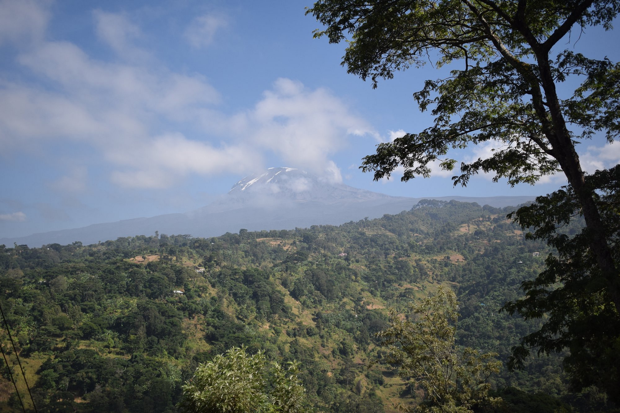 Materuni Waterfalls & Coffee Tour 3