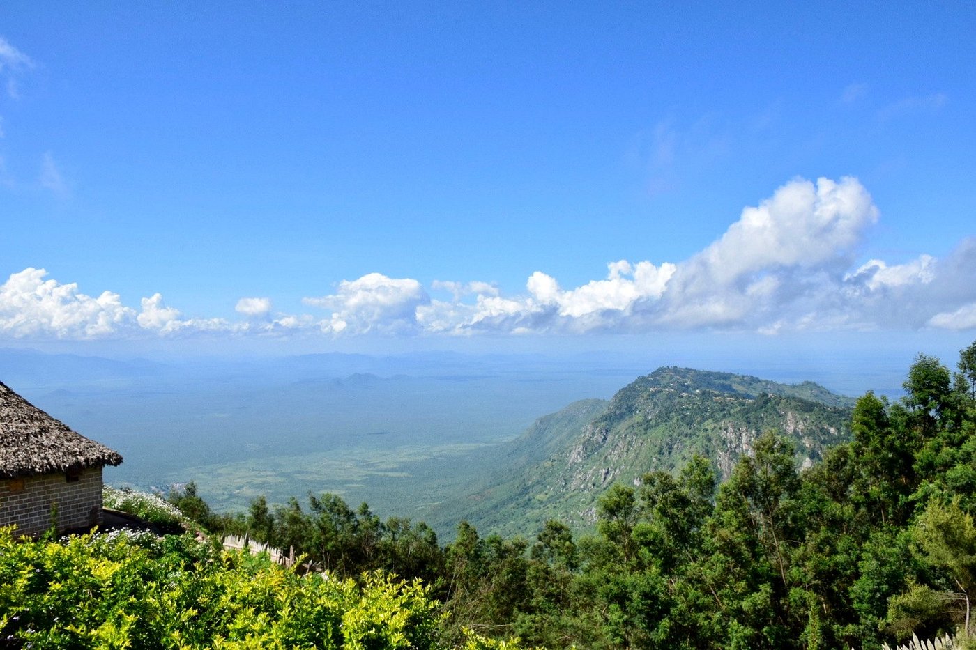 Usambara Mountains Trek 4